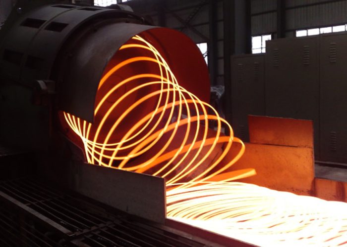 wire rod laying head
